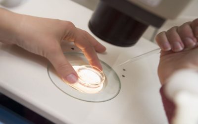 Understanding Success Rates at a Fertility Clinic Aliso Viejo CA for Your Family Journey